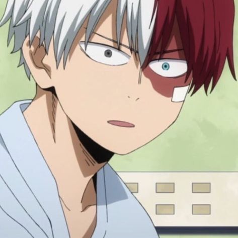 Todoroki meme face Todoroki Funny, The Bus, I Left, At Home, Books, Red, Anime