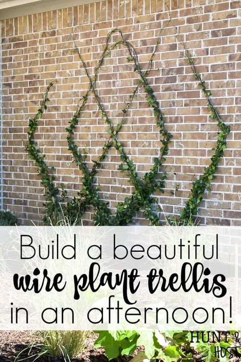 How to Build A DIY Wire Trellis on a Wall, instructions on how to install a wire trellis on a brick wall in an afternoon, no special tools needed, plus what plants to use on a trellis. Hops Trellis, Blackberry Trellis, Grape Trellis, Wire Trellis, Vine Trellis, Wall Trellis, Diy Garden Trellis, Plant Trellis, Jardim Diy