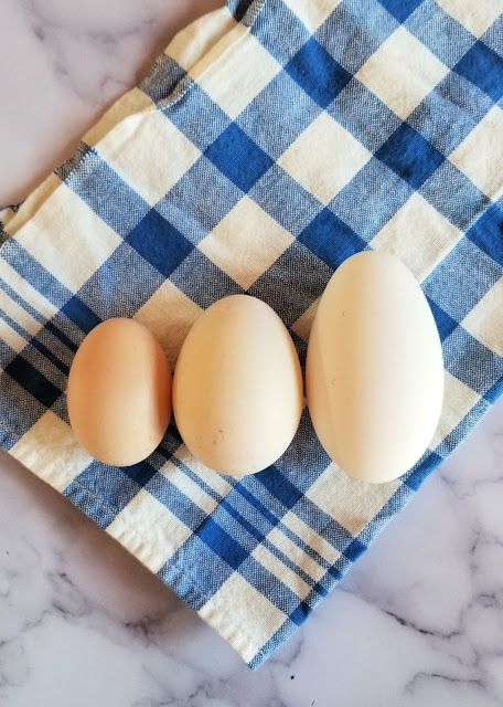 A Dozen Fascinating Facts about Goose Eggs - Fresh Eggs Daily® Goose Egg Recipes, Cooked Goose, Chickens And Ducks, Goose Eggs, Farmers Market Stand, Types Of Eggs, Egg Container, Duck Eggs, Canadian Goose