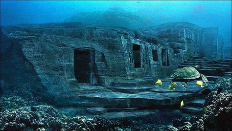 14000 years old monuments found under water at yonaguni jima island, at Japan, which has pyramids older than egyptian civilization Underwater Ruins, Sejarah Kuno, Bawah Air, Sunken City, Underwater City, Under The Water, Underwater Scene, Mystery Of History, Ancient Mysteries