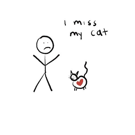 I Miss My Cat So Much, Losing Cat Quotes, I Miss My Cat Quotes, I Miss My Cat Pet Loss, Missing Cat Quotes, Dead Cat Quotes, Losing A Pet Quote Cat, Cat Aesthetic Quotes, Losing A Cat Quote