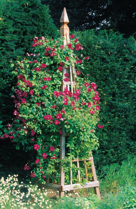 Diy Garden Obelisk, Obelisk Trellis, Build A Garden, Diy Garden Trellis, Garden Obelisk, Vertical Herb Garden, Diy Trellis, Garden Vines, Tower Garden