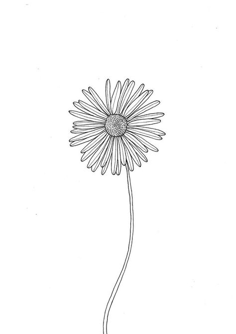 Flower Decor Bedroom, Daisy Flower Printable, Daisy Drawing, Sunflower Drawing, Daisy Tattoo, Simple Line Drawings, Wall Art Floral, Drawing Simple, Floral Drawing