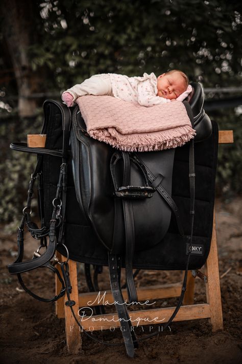 Newborn on dressage saddle sleeping with bridle Newborn Photography Saddle, Dressage Saddle, Newborn Shoot, Horse Saddles, Newborn Session, Pic Ideas, Dressage, Newborn Photos, Newborn Photography