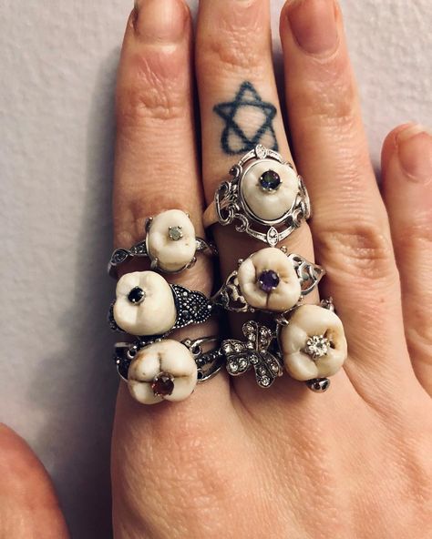 Human Teeth Jewelry, Sewer Rat, Teeth Aesthetic, Oddities Jewelry, Taxidermy Decor, Tooth Ring, Insect Taxidermy, Human Teeth, Witch Diy