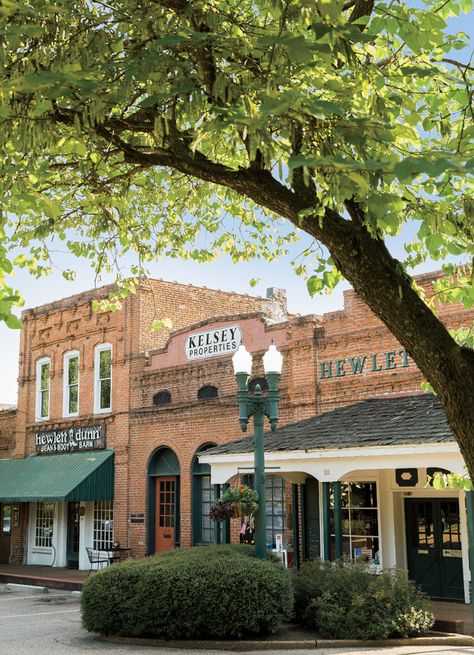 Collierville town square, TN. Kids and I visited often when we lived in TN. Collierville Tennessee, Kunst Inspo, Small Town Living, Small Towns Usa, Sneak Attack, Small Town America, Small Town Life, Small Town Romance, Main Street Usa