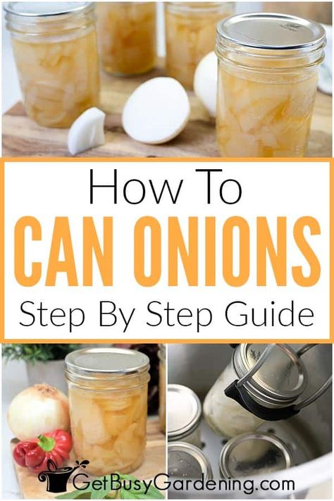 Canning Onions, Can Onions, Canning Guide, Canning Water, Water Bath Canning Recipes, Pressure Canning Recipes, Canning Fruit, Home Canning Recipes, Canning Vegetables