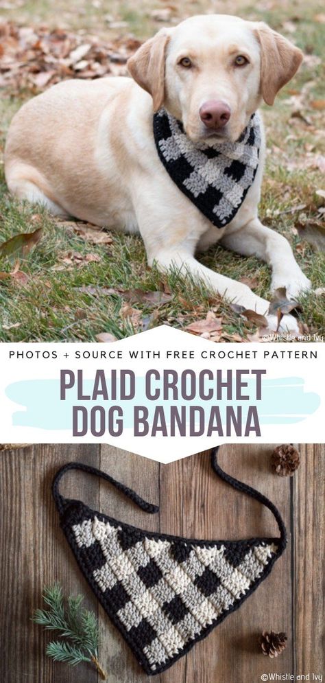 Festive Dog Scarves Free Crochet Patterns - Free Crochet Patterns Crochet Dog Bandana, Crochet Plaid, Dog Bandana Pattern, Dog Sewing, Crochet Dog Clothes, Plaid Crochet, Bandana Pattern, Crochet Bandana, Crochet Dog Patterns