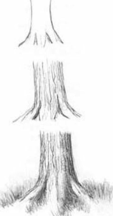 Draw Trees, Boom Kunst, Drawing Tutorials For Beginners, Drawing Eyes, Drawing Hair, Výtvarné Reference, Siluete Umane, Drawing Faces, Drawing For Beginners