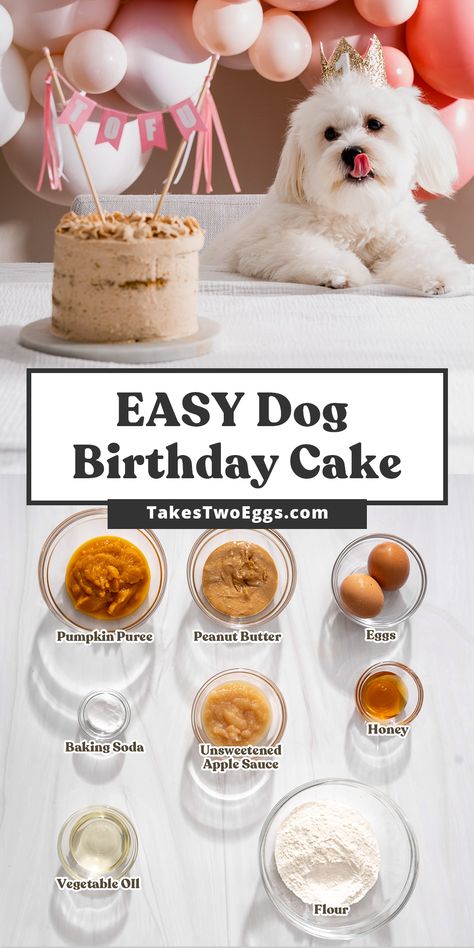 Dog And Human Safe Cake Recipe, Dog And Human Cake Recipe, Homemade Birthday Cake For Dogs, Recipes For Dog Cakes, Pup Cakes Doggie Birthday Easy, Pet Friendly Birthday Cake, Healthy Dog Birthday Cake Recipe, How To Make Dog Birthday Cake Recipe, Diy Dog Cakes For Dogs