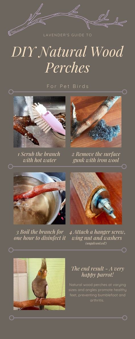 How To Make Bird Perches, Diy Perches For Birds, Bird Perches Homemade, Parrot Perches Diy Ideas, Diy Pet Bird Toys, Diy Bird Perch Branches, Bird Toys Diy Parrots, Budgie Diy Ideas, Diy Macaw Cage