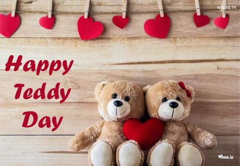 Happy Teddy Day Images , Pictures And Wallpaper HD Teddy Day Photos, Happy Teddy Day, Happy Teddy Day Images, Teddy Day Images, Teddy Day, Shower Diy, Baby Shower Diy, Christmas Cross, Homeopathy