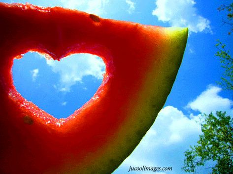 Most Favorite Food EVER!!!!!!!!!!!! It definately has my heart. Watermelon Heart, Best Summer Desserts, Hello July, Chevy Girl, Foto Tips, I Love Heart, My Funny Valentine, Summer 3, Pink Summer