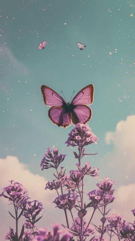 Cute wallpaper butterfly purple sky. | premium image by rawpixel.com / Boom Daisy Iphone Wallpaper, Pale Flowers, Butterflies Aesthetic, Wallpaper Butterfly, Wallpaper Edge, Purple Butterfly Wallpaper, Butterfly Purple, Flowers Cute, Cute Backgrounds For Phones