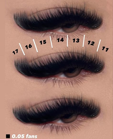 Did Curl Lashes, Dramatic Cat Eye Lash Extensions Map, Cat Eye Lash Map D Curl, Cateye Eyelashes Extensions Map, Cat Eye Lashes Mapping, Cat Eye Hybrid Lash Extensions Map, Cat Eye Mapping Eyelash Extensions, Volume Cat Eye Lash Extensions Mapping, Wispy Hybrid Lash Extensions Cat Eye