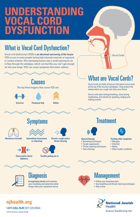 Vocal Cord Dysfunction, Voice Therapy, Vocal Cords, Vocal Training, Learn Singing, Singing Techniques, Vocal Lessons, Vocal Exercises, Voice Lesson