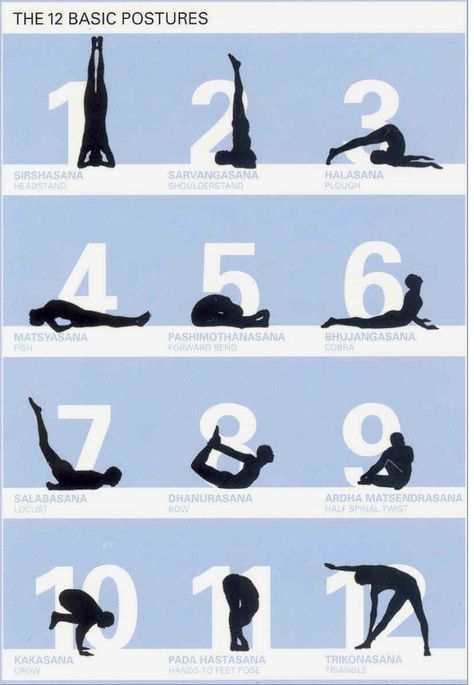 Sivananda series, the twelve basic postures! Yoga Asanas Names, Yoga Posters, Yoga Posses, Basic Poses, Sivananda Yoga, Weight Goals, Rishikesh Yoga, Yoga Stretching, Yoga Sequence