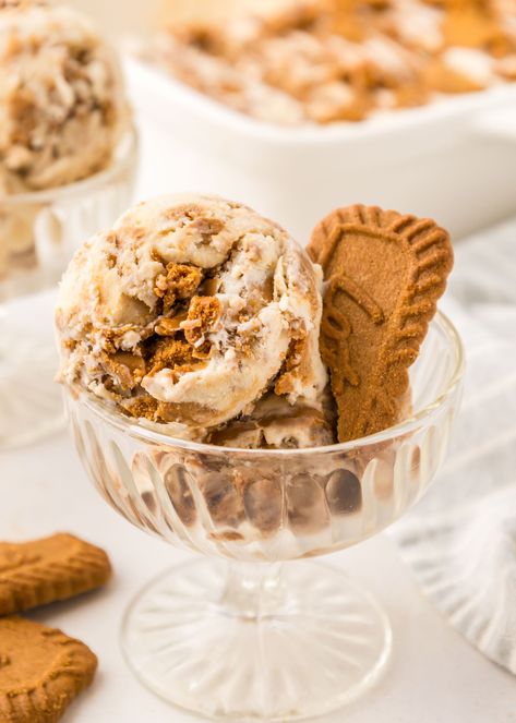 Homemade Biscoff Ice Cream Biscoff Ice Cream Recipe, Cookie Butter Ice Cream Ninja Creami, Biscoff Ninja Creami, Gourmet Ice Cream Recipes, Cookie Butter Ice Cream, Homemade Biscoff, Biscoff Ice Cream, Kitchen Aid Ice Cream, Ninja Creamy