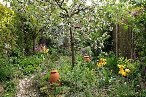 Small Cottage Garden Ideas, Food Forest Garden, Orchard Garden, Permaculture Gardening, Permaculture Design, Edible Landscaping, Backyard Inspiration, Food Forest, Forest Garden