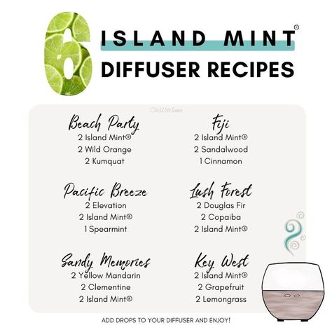 Exclusive doTERRA Essential Oil - Island Mint Summertime Blend — Oils With Jamie Diffuser Cleaning, Spruce Essential Oil, Doterra Oils Recipes, Doterra Diffuser, Doterra Diffuser Blends, Doterra Oil, Essential Oil Diffuser Blends Recipes, Mint Oil, Lime Essential Oil