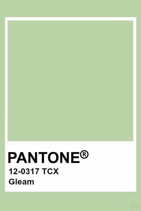 Sage Green Pantone, Pantone Paint, Pantone Tcx, Pantone Green, Pantone Colours, Pantone Color Chart, Pantone Swatches, Pantone Palette, Pantone Colour Palettes