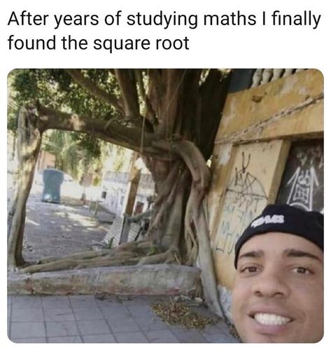 Math Memes Funny, Math Student, Studying Memes, Nerd Jokes, Math Jokes, Student Humor, Math Humor, Memes Br, School Memes