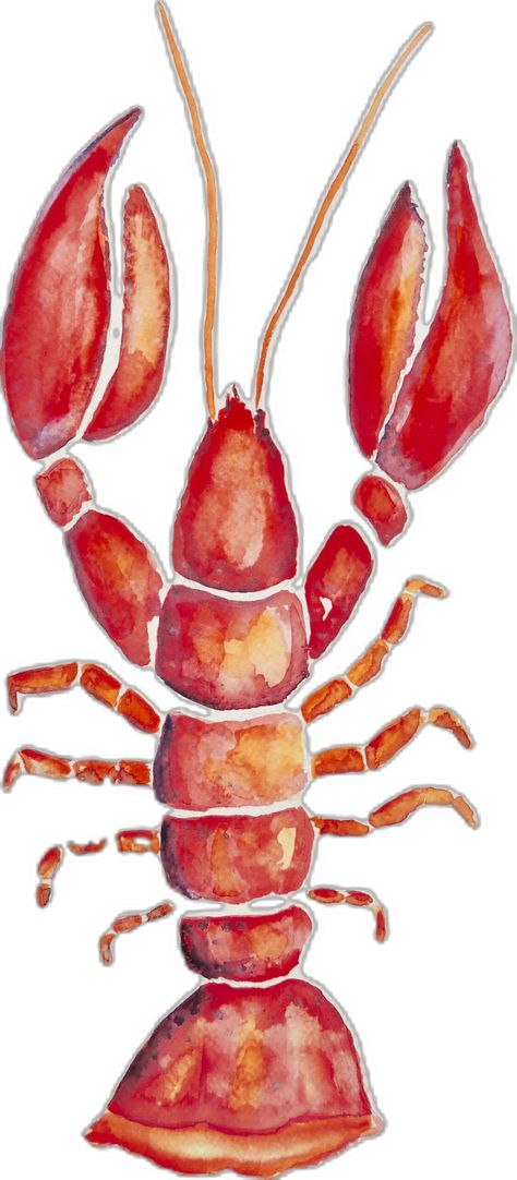 Lobster watercolor, can be put on pillows, mugs etc.....go to fineartamerica.com/ patricia piffath Lobster Watercolor, Pottery Painting, Put On, Collage, Pillows, Canning, Pins, Quick Saves, Color