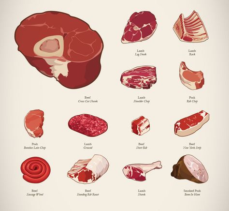 Meat Art, Výtvarné Reference, Poor Circulation, Solve The Problem, Arte Sketchbook, Digital Painting Tutorials, Food Drawing, Arte Horror, Anatomy Art