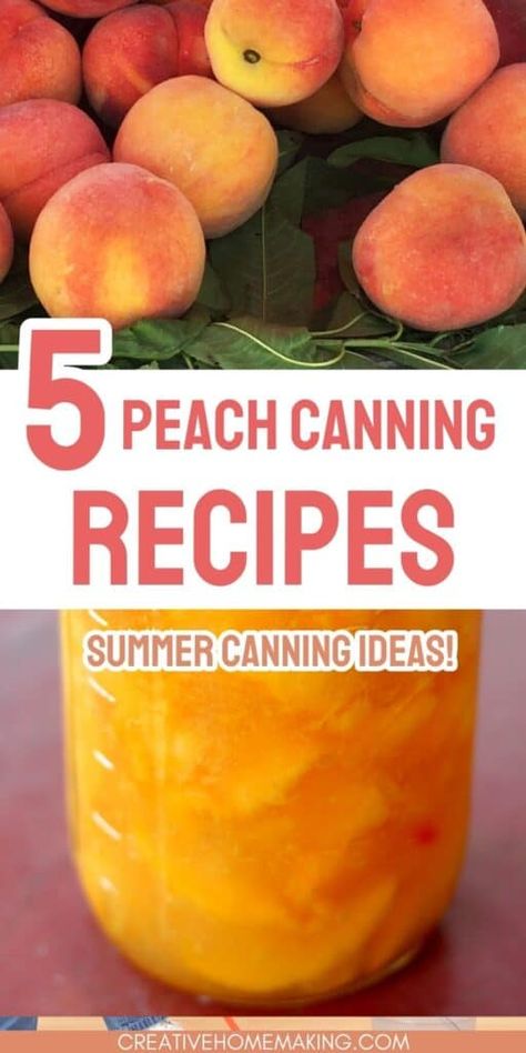 Looking for delicious peach canning recipes to try this season? Check out our top 5 recipes that are sure to satisfy your taste buds. From classic peach jam to unique combinations like elderberry peach jam and spiced peach jam, these recipes are perfect for enjoying the flavors of summer all year round. Plus, with the convenience of canning, you can easily store and enjoy these recipes whenever you want. Don't miss out on these delicious peach canning recipes! Canning Recipes Peaches, Spiced Peaches Canning Recipe, Peach Recipes For Canning, Peach Canning Recipes, Peach Jam Recipe Canning, Canned Peaches Recipes, Canning Peaches Recipes, Canning Peach Pie Filling, Peach Canning