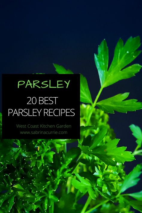 Fresh Parsley Recipes, Parsley Soup, Pasta Puttanesca Recipe, Vegan Carrot Soup, Tabbouleh Recipe, Parsley Recipes, Pasta Puttanesca, Coconut Milk Soup, Preserving Herbs