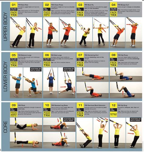 Great TRX/Suspension training workout basics for beginners  Upper body, lower body, and Core instructions with pictures Trx Workouts Routine, Suspension Training Workouts, Suspension Workout, Spiritually Healthy, Body Flexibility, Trx Suspension Training, Trx Training, Trx Workouts, Reformer Pilates