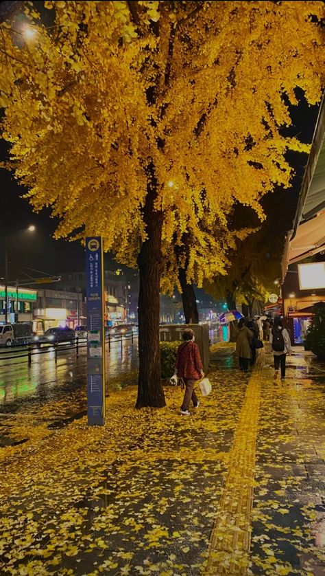 City Street Aesthetic Night, Autumn In Seoul, Autumn In Korea, South Korea Photography, Seoul Korea Travel, Korea Aesthetic, Bukchon Hanok Village, Visit Seoul, Wallpaper Autumn