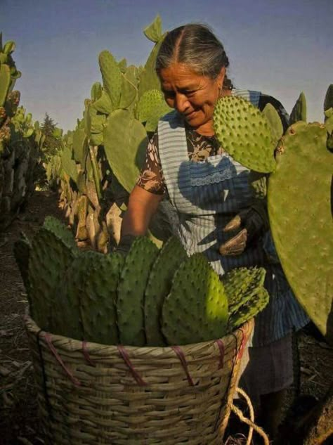 Mexico People, Mexican People, Mexican Traditions, Mexican Heritage, Mexico Culture, Mexican Women, America Latina, Mural Ideas, South Of The Border