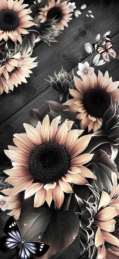 Pin by Melu Vazquez on Flowers Wallpaper in 2022 | Sunflower iphone wallpaper, Beautiful wallpapers for iphone, Vintage flowers wallpaper Wallpaper Iphone, Butterflies, Iphone Wallpaper, I Hope, Wallpapers, Iphone