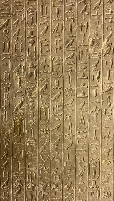 Pharaonic Wallpaper, Archeology Wallpaper, Egyptian Background, Egypt Wallpaper, Egyptian Cartouche, Amun Ra, Egyptian Aesthetic, Desert Ecosystem, Egyptian Civilization