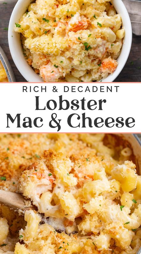 Lobster Mac N Cheese Recipe, Seafood Mac And Cheese, Bake Mac And Cheese, Lobster Mac, Lobster Mac And Cheese, Mac Cheese Recipes, Lobster Meat, Lobster Recipes, Baked Mac