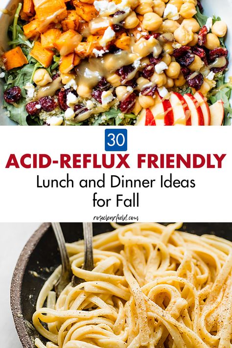 Recipes For Acid Reflux, Reflux Diet Recipes, Gerd Diet Recipes, Acid Reflux Friendly Recipes, Gerd Friendly Recipes, Acid Reflux Diet Meals, Gerd Friendly, Fall Lunch, Gerd Recipes