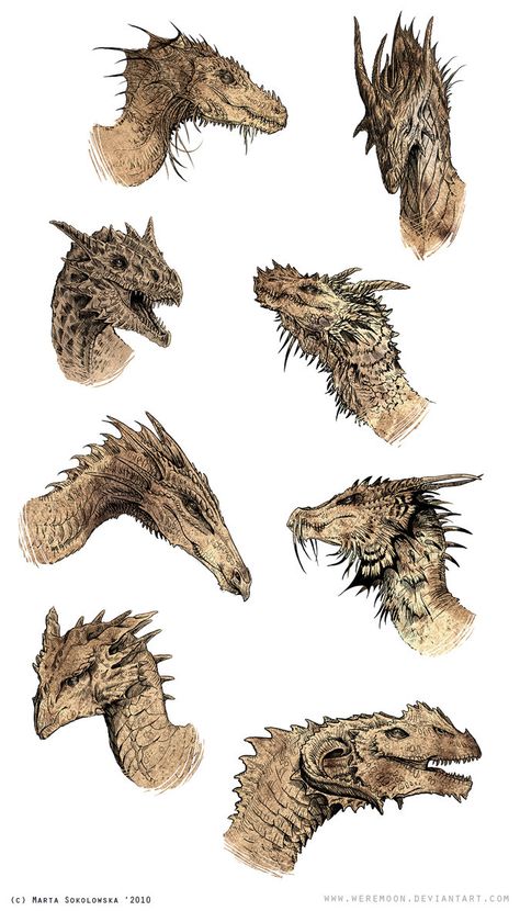 Dragon heads sketches by Haridimus on DeviantArt Wing Anatomy, Dragon Medieval, Head Reference, Dragon Anatomy, Dragon Hand, Dragon Heads, Dragon Sketch, Cool Dragons, 다크 판타지