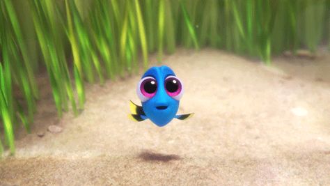 via GIPHY Finding Dory Quotes, Finding Dory Baby, Baby Dory, Dory Finding Nemo, Disney Gifs, Disneyland Halloween, Film Anime, Finding Dory, Pixar Movies