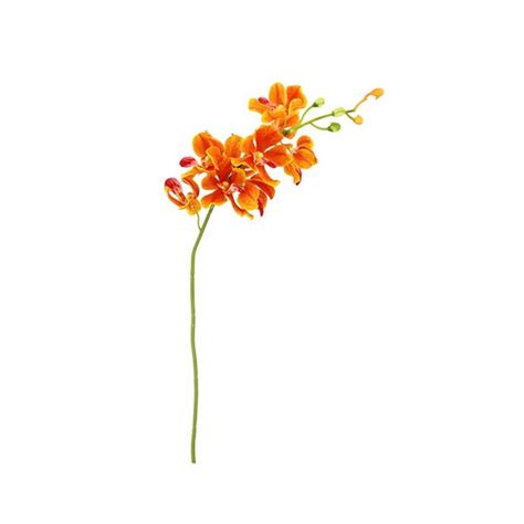 Introducing the Mokara Orchid Spray in Orange! This beautiful spray is perfect for adding a vibrant splash of colour to your floral arrangements. Its eye-catching blooms and unique texture will make any display stand out and turn heads. Bring life to your decor with this stunning 49cm Mokara Orchid Spray. Length 49cm Gold Glass Charger Plates, Jungle Themed Room, Glass Charger Plates, Orange Orchid, Splash Of Colour, Silk Gifts, Tableware Collection, White Tree, Faux Florals