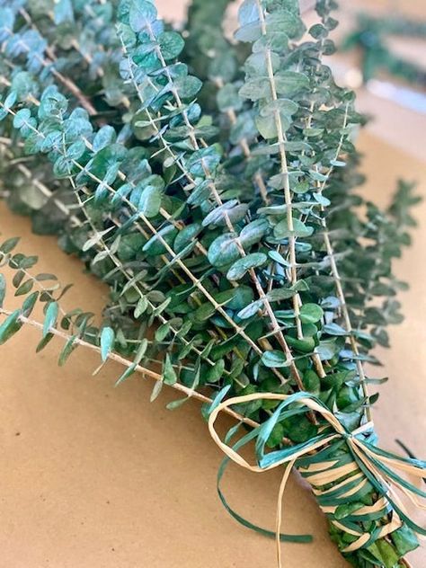 Eucalyptus Vase, Tall Vase Arrangements, Eucalyptus Decor, Eucalyptus Arrangement, Eucalyptus Bundle, Diy Eucalyptus, Eucalyptus Centerpiece, Frosted Eucalyptus, Branches Diy