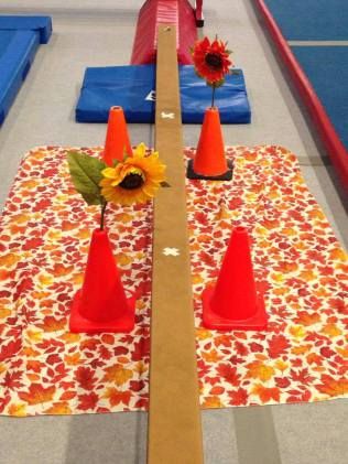 Fine motor skill development! When you get to the flower, squat to pick out of one pylon and replant it in the pylon on the other side. Harder than it looks for those little ones! Easy Recipes Baking, Preschool Gymnastics Lesson Plans, Dogs And Puppies Funny, Preschool Gym, Gymnastics Games, Flower Activity, Gymnastics Warm Ups, Fair Week, Gymnastics Lessons