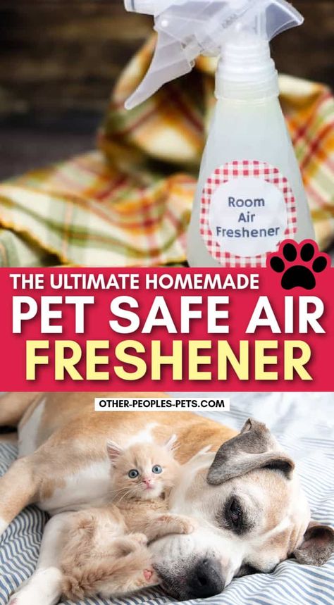 Looking for a pet-safe air freshener? Learn how to make pet-friendly air fresheners using essential oils to help with unwanted odors. Safe Air Freshener, Natural Air Freshener Diy, Diy Room Spray Essential Oils, Dog Deodorizer Spray, Natural Room Deodorizer, Diy Air Freshener Spray, Homemade Room Spray, Homemade Febreze, Air Freshener Essential Oils