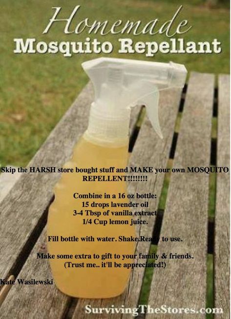 Homemade Mosquito Repellent, Homemade Bug Repellent, Mosquito Repellent Homemade, Diy Mosquito Repellent, Bug Repellant, Bug Spray Recipe, Supraviețuire Camping, Mosquito Spray, Natural Bug Repellent