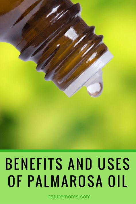 Benefits Uses Palmarosa Oil Panaway Essential Oil, Essential Oils Benefits, Oils Benefits, Palmarosa Essential Oil, Esential Oils, Essential Oil Skin Care, Body Butters Recipe, Essential Oil Benefits, Natural Parenting