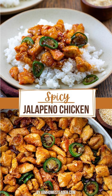 two images of spicy jalapeno chicken one is overhead showing the recipe in a pan and the other is from the side angle, showing the dish on top of a bed of white rice, in a bowl. Spicy Jalapeno Chicken, Oat Recipes, Spicy Chicken Recipes, Jalapeno Chicken, Health Dinner Recipes, Chicken Dishes Recipes, Poultry Recipes, Asian Dishes, Chicken Dinner Recipes