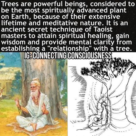 ⠀⠀ CONNECTING CONSCIOUSNESS on Instagram: “➡️ @connecting_consciousness ARE YOU A TREE HUGGER? Trees and Chi energy. Hugging a tree raises your vibrational frequency, this has been…” Hindu Knowledge, Chi Energy, Soul Growth, India Facts, Divine Feminine Spirituality, Vibrational Frequency, Spiritual Coach, Healing Spirituality, Energy Healing Spirituality