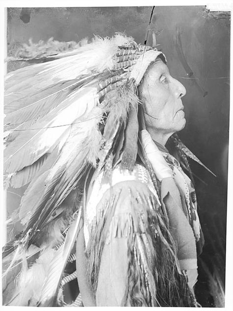 Sioux Nation, Lakota Sioux, Native Dress, Native American Images, Native American Chief, Native American Pictures, Native American Photos, Smithsonian Institution, Native American Tribes