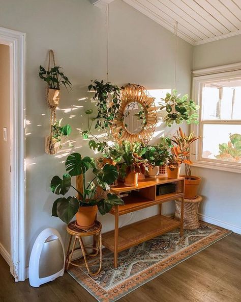 Shannie Diaz on Instagram: “Planties & sunrise glow✨” Plant Apartment Aesthetic, Indoor Plants Decor, Plant Apartment, Design Strategies, Plants Decor, House Plants Decor, Apartment Decor Inspiration, Room With Plants, Decor Home Living Room