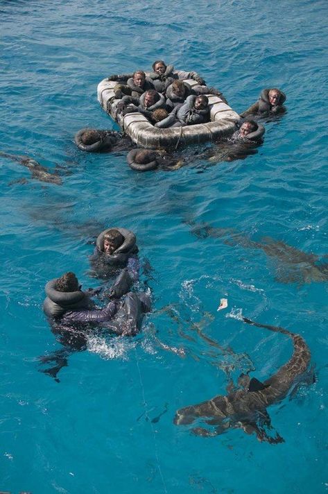 Most of the top 10 worst shark attacks in the world involved maritime shipping disasters where people were thrown into shark-infested waters. Uss Indianapolis, Shark Attacks, By Any Means Necessary, Survival Equipment, Urban Survival, Survival Techniques, Survival Life, Wilderness Survival, Survival Food